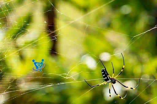 أسماء مشاريع من القرآن 4 أسماء مشاريع من القرآن